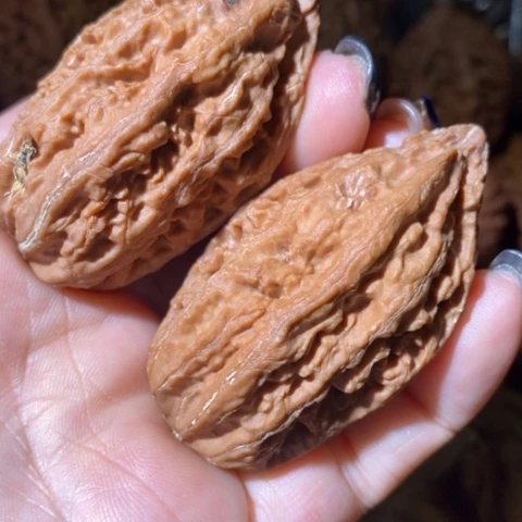 把件文玩核桃东北野生楸子小美41