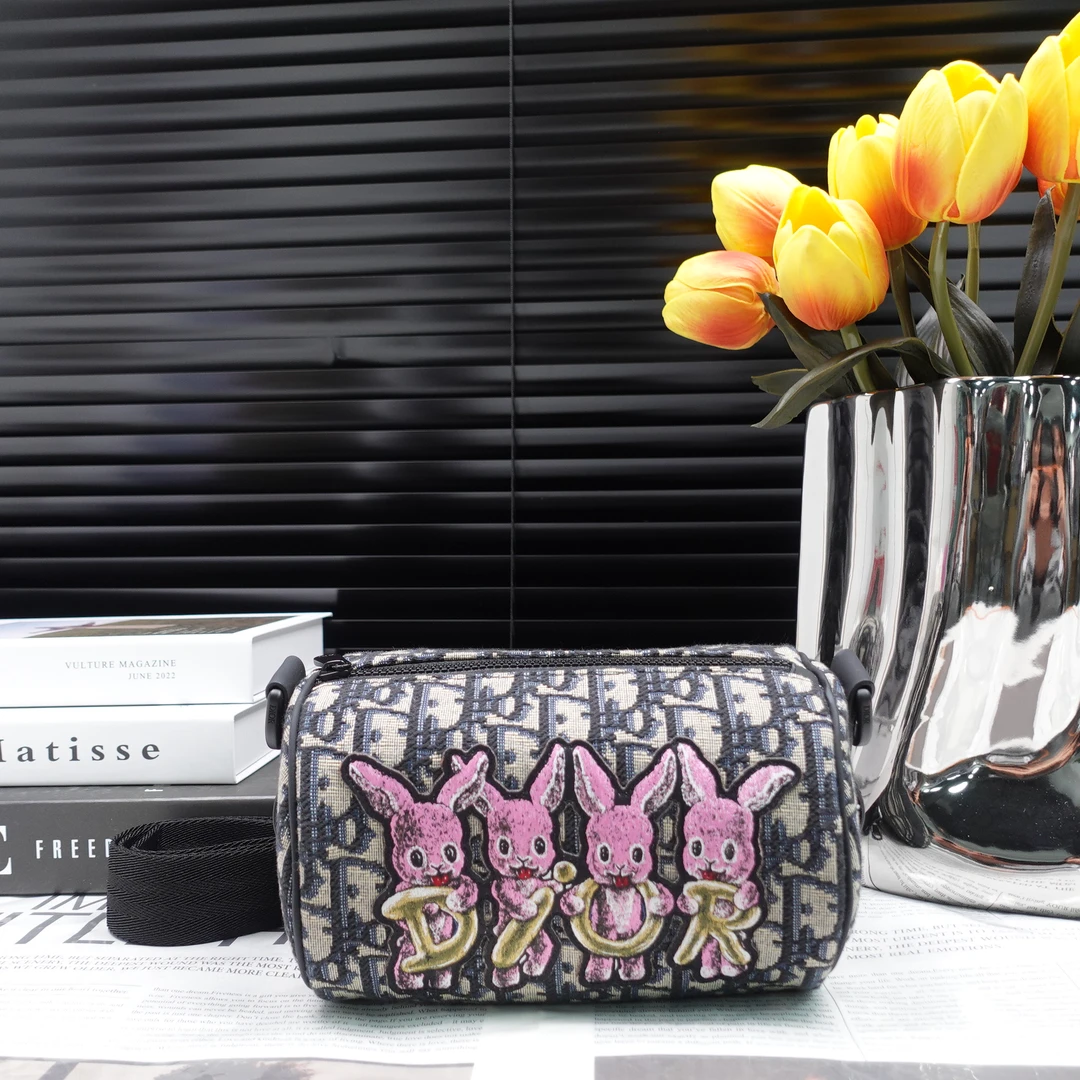95新 DIOR/迪奥 单肩包/T10153541