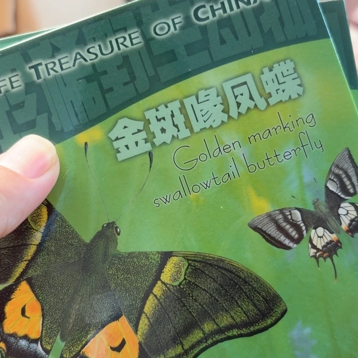 其他普通金属凤蝶卡册