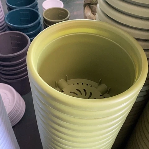 树脂四季3号果绿无托10个微瑕