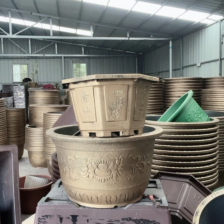 梅花照眼 依然旧风味