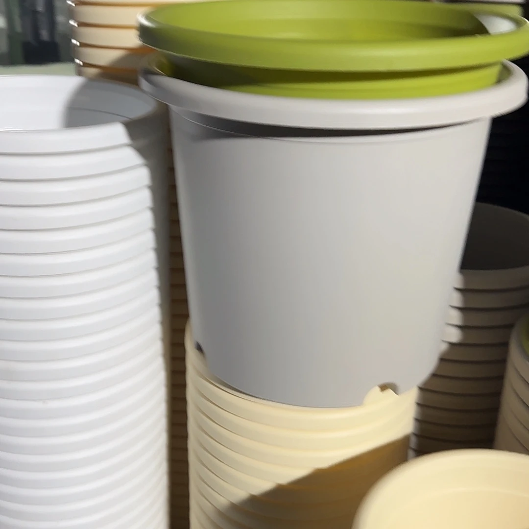 树脂四季6号无托7个果绿微瑕