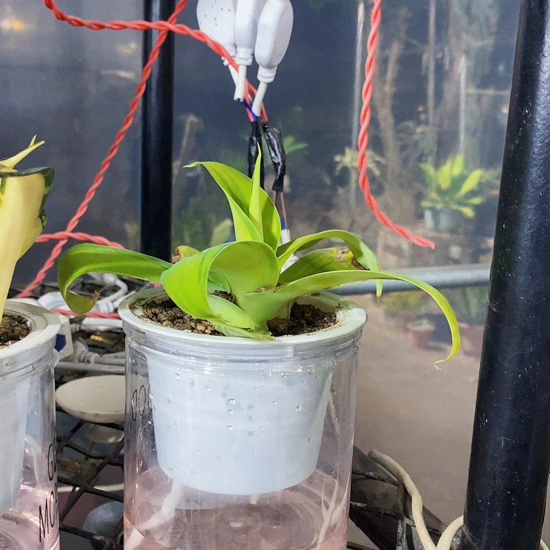 炫*小苗一颗000000000000