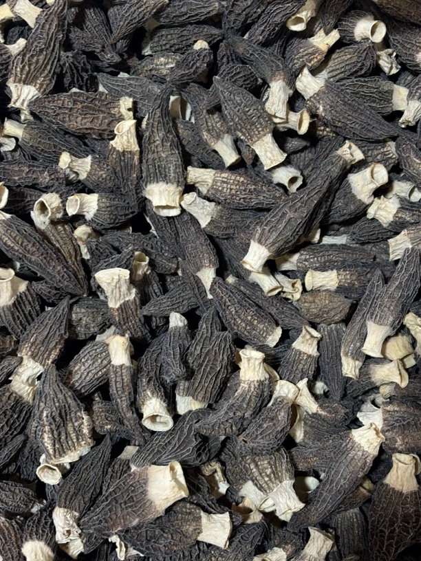 【宠粉福利】手选头茬六妹羊肚菌0713