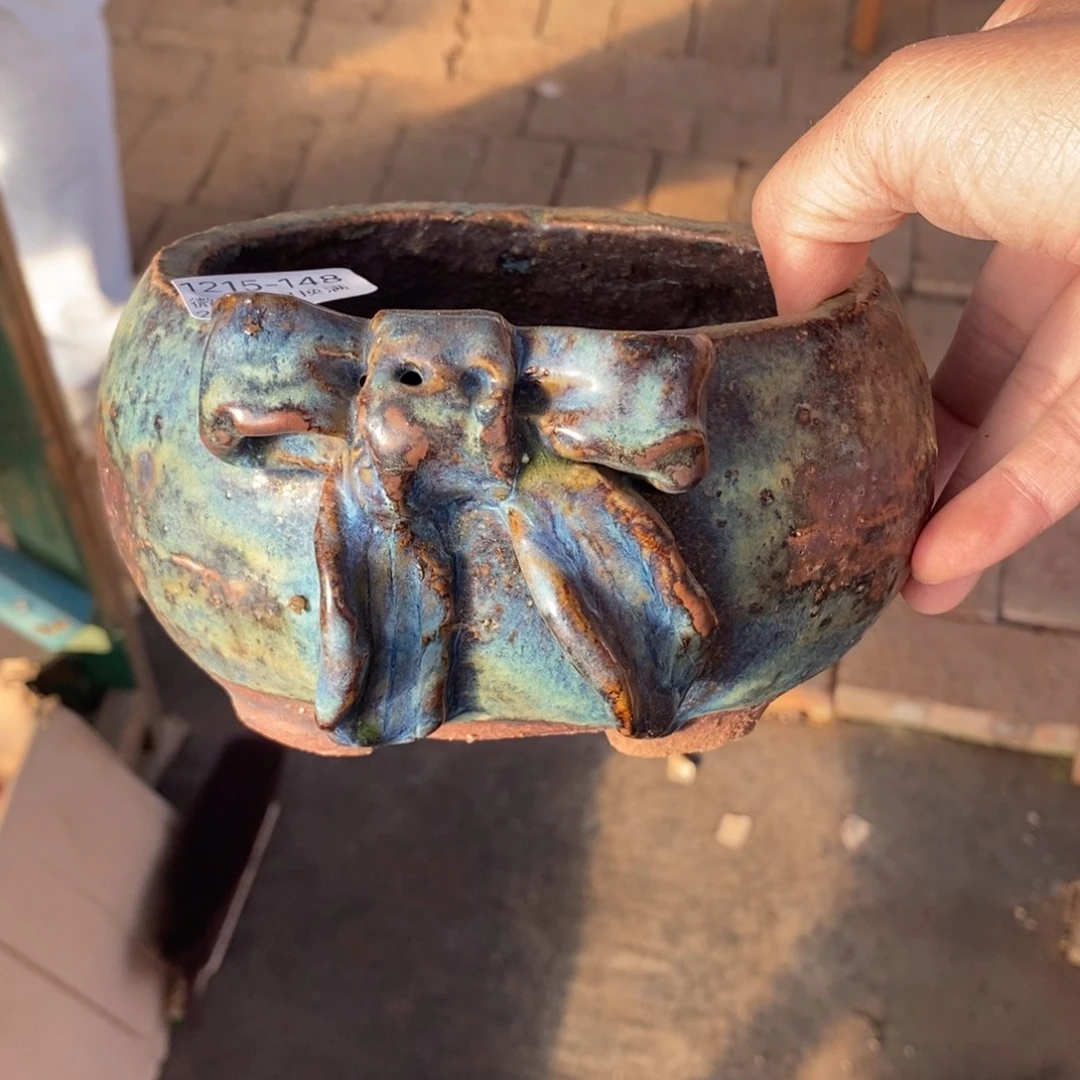 148号多肉盆口径11