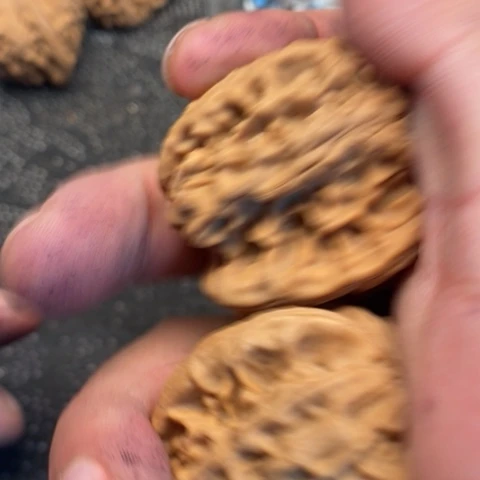 文玩核桃把件鸡心15