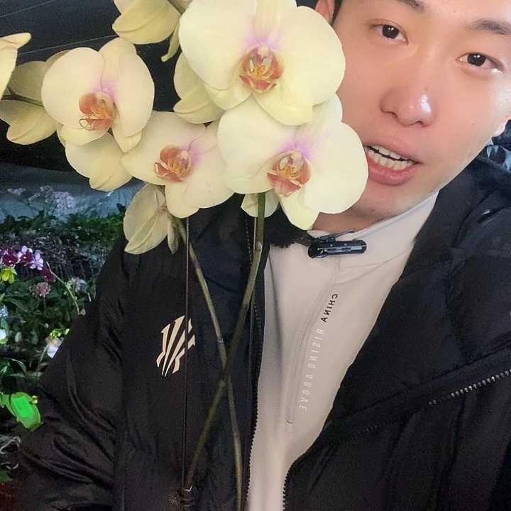 无花朵9661蝴蝶兰