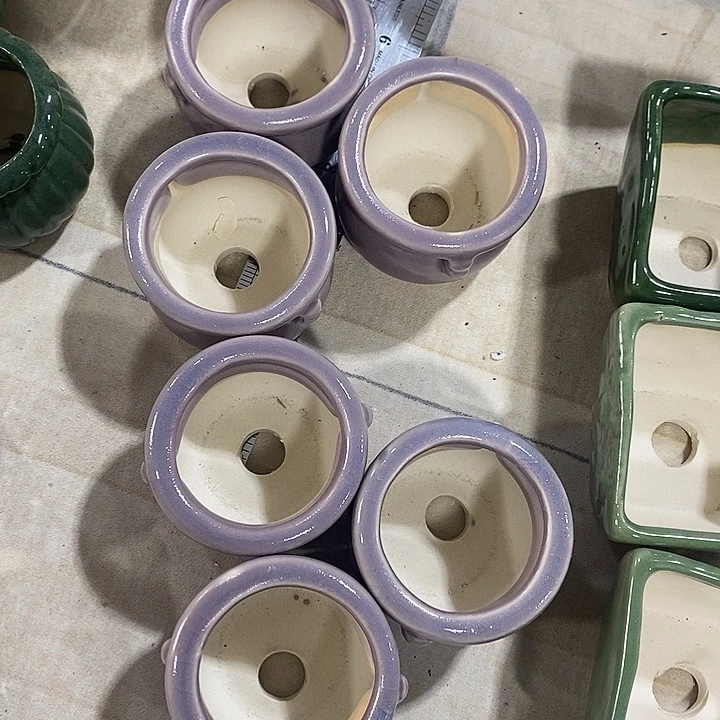 花盆抢购清货马上开始