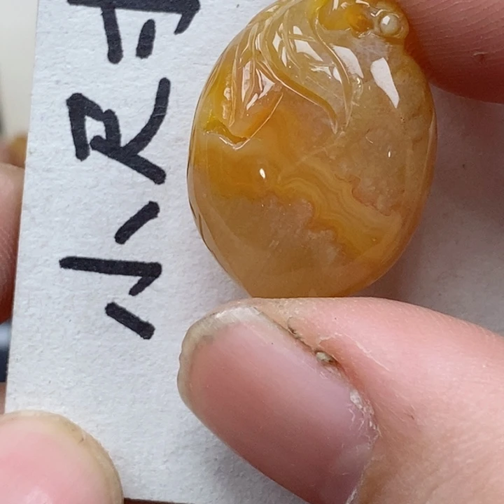 颈饰未镶嵌硅化珊瑚（珊瑚玉）