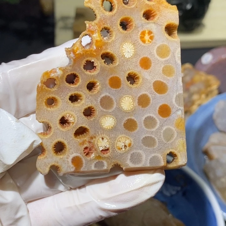 【闪购商品】未镶嵌珊瑚玉硅化玉