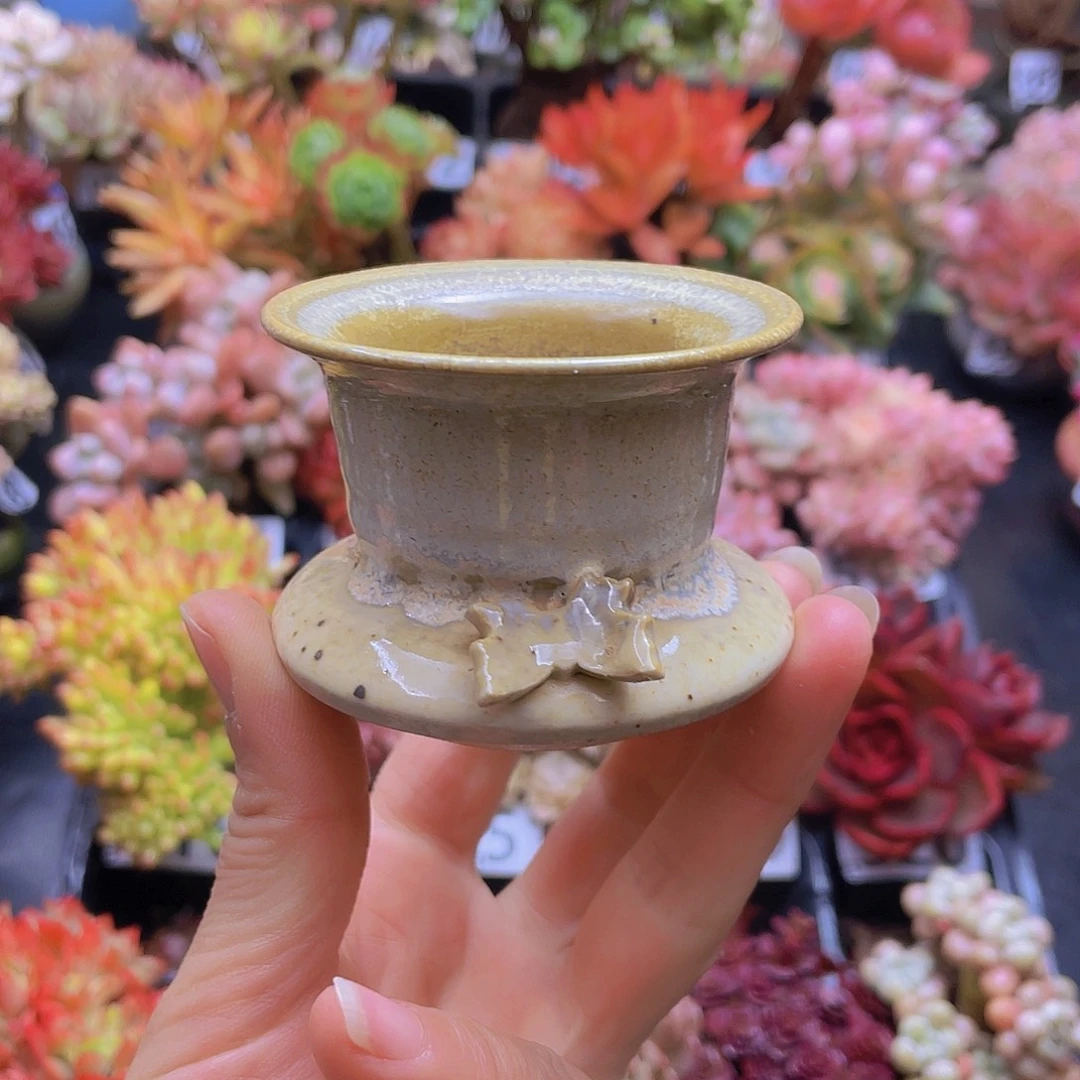 花钱花钱花钱花钱花钱