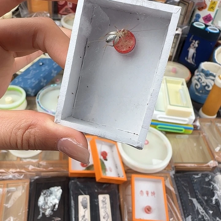 蟋蟀水墨仙子一只