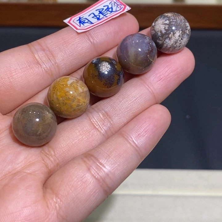 【闪购商品】未镶嵌珊瑚玉硅化玉