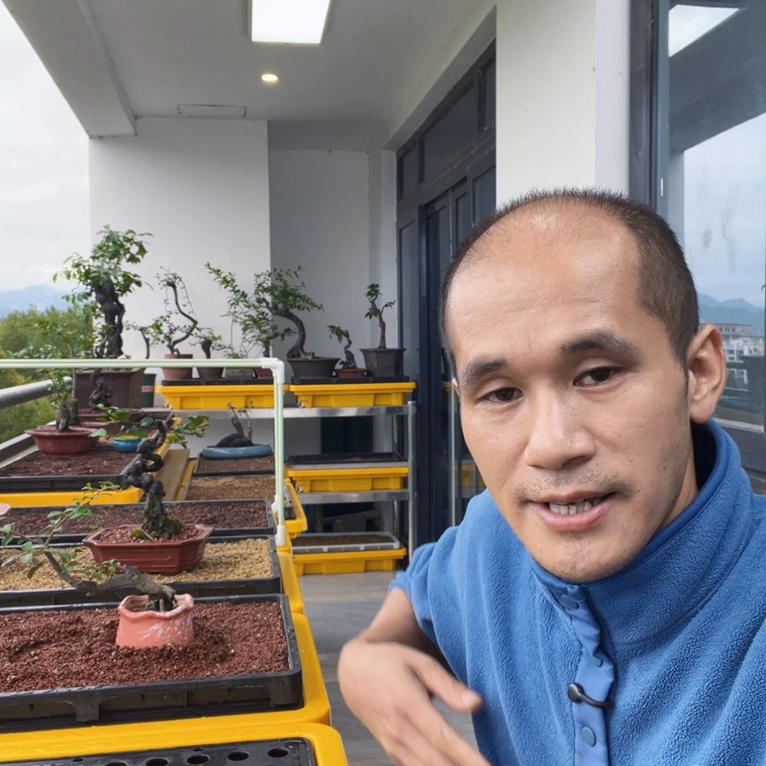 盆景绿植养护台全套