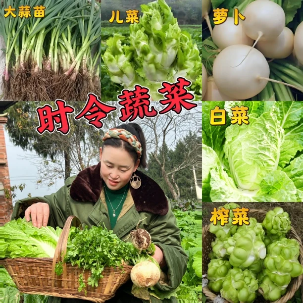 正宗梁平本地农家时令蔬菜