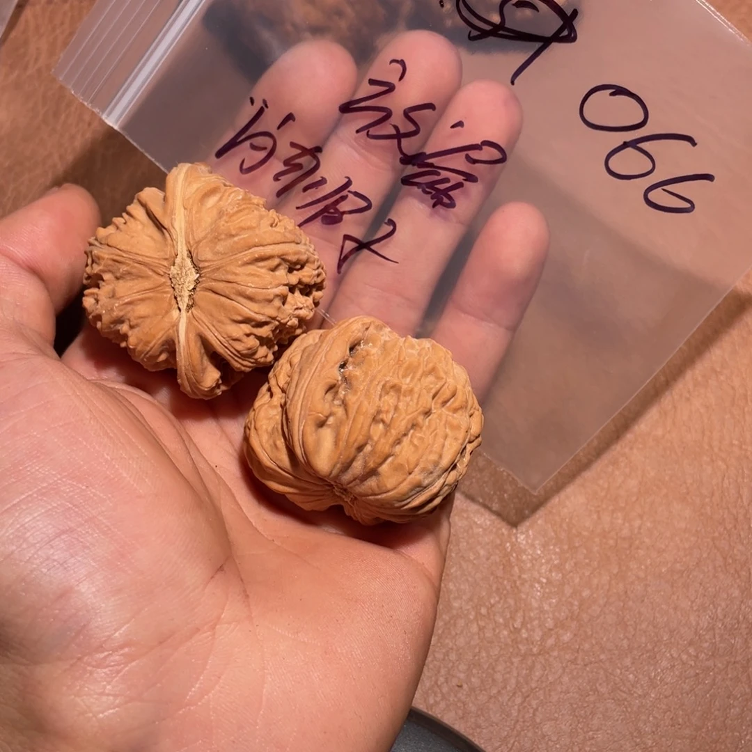 手串/手链核桃066