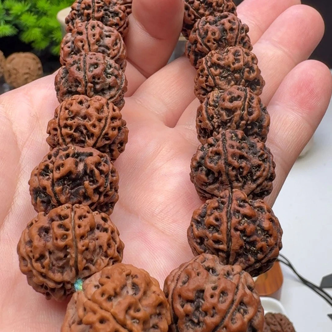 金刚菩提手串蜂窝双龙