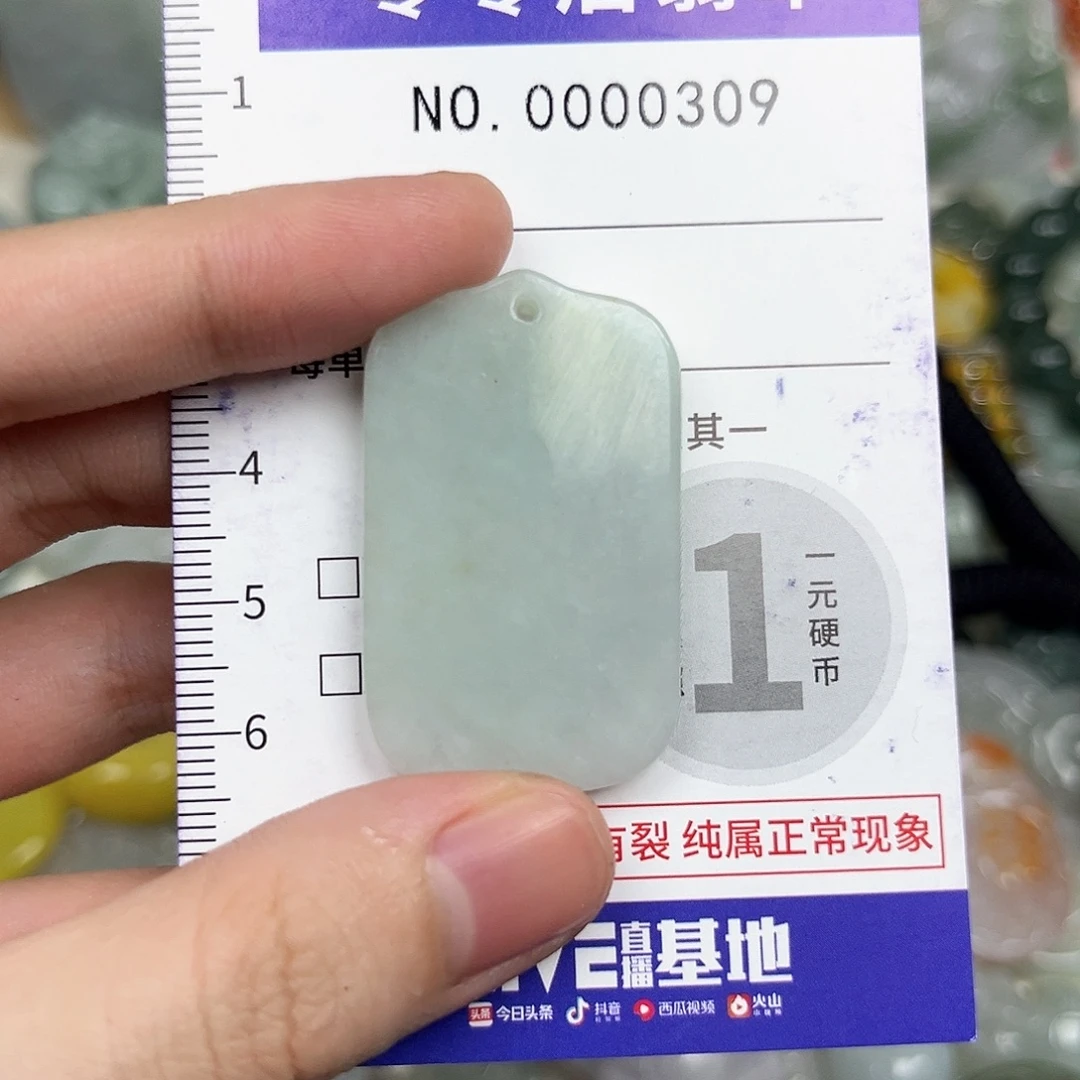 翡翠未镶嵌颈饰309