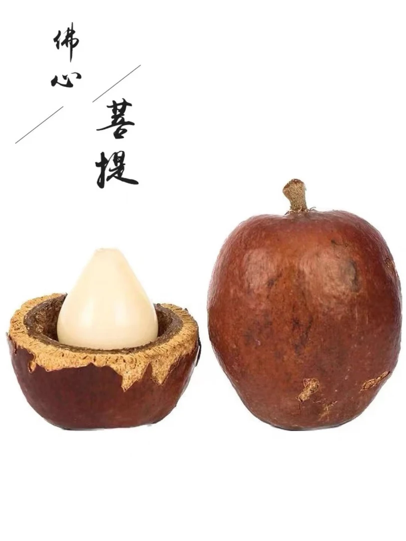 精选白玉菩提大果 可做毛衣链手把件车挂钥匙扣