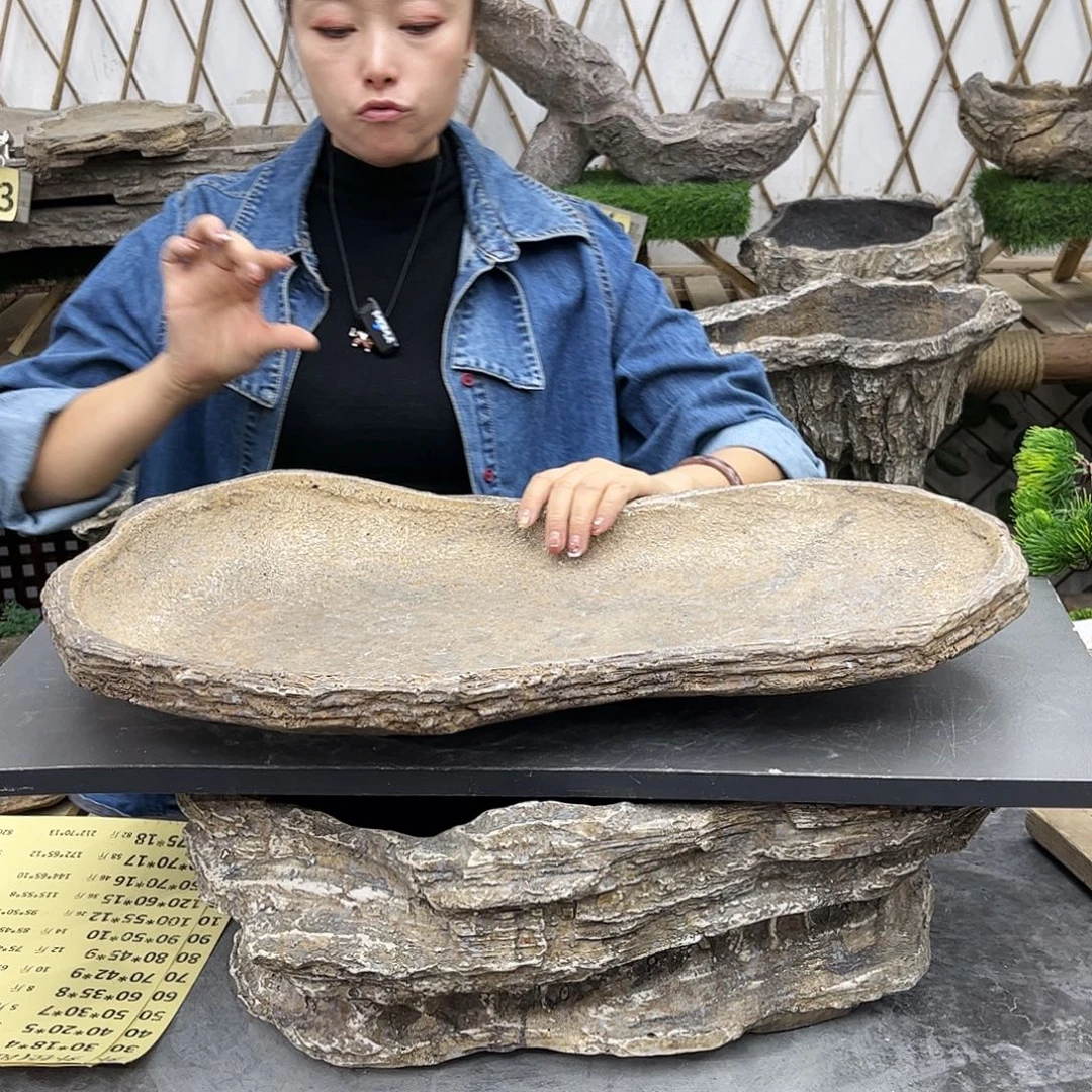 盆景盆花盆鱼缸盆景w60
