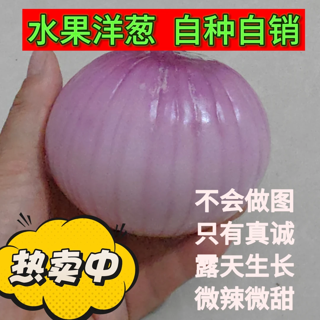 精品特大果水果洋葱红皮微辣微甜可生吃农家自种肉厚鲜嫩多汁