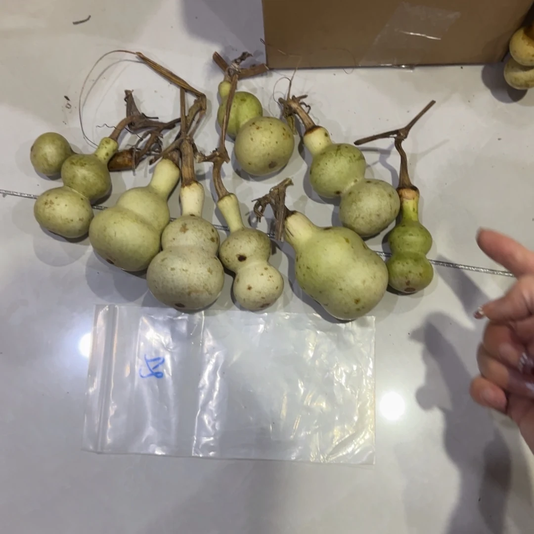 七***～青皮不包成青皮不包成