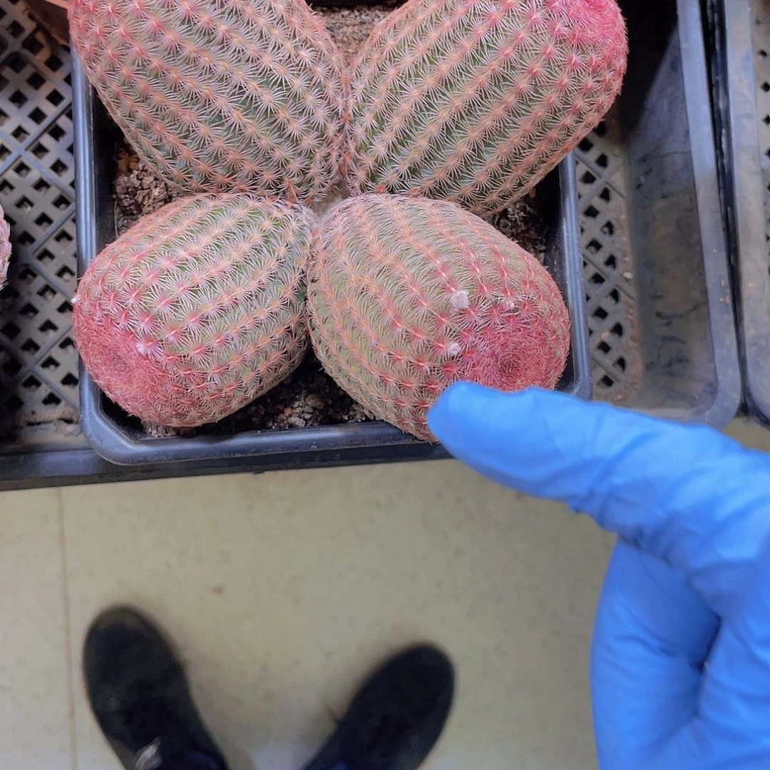 顺风顺水！顺风顺水