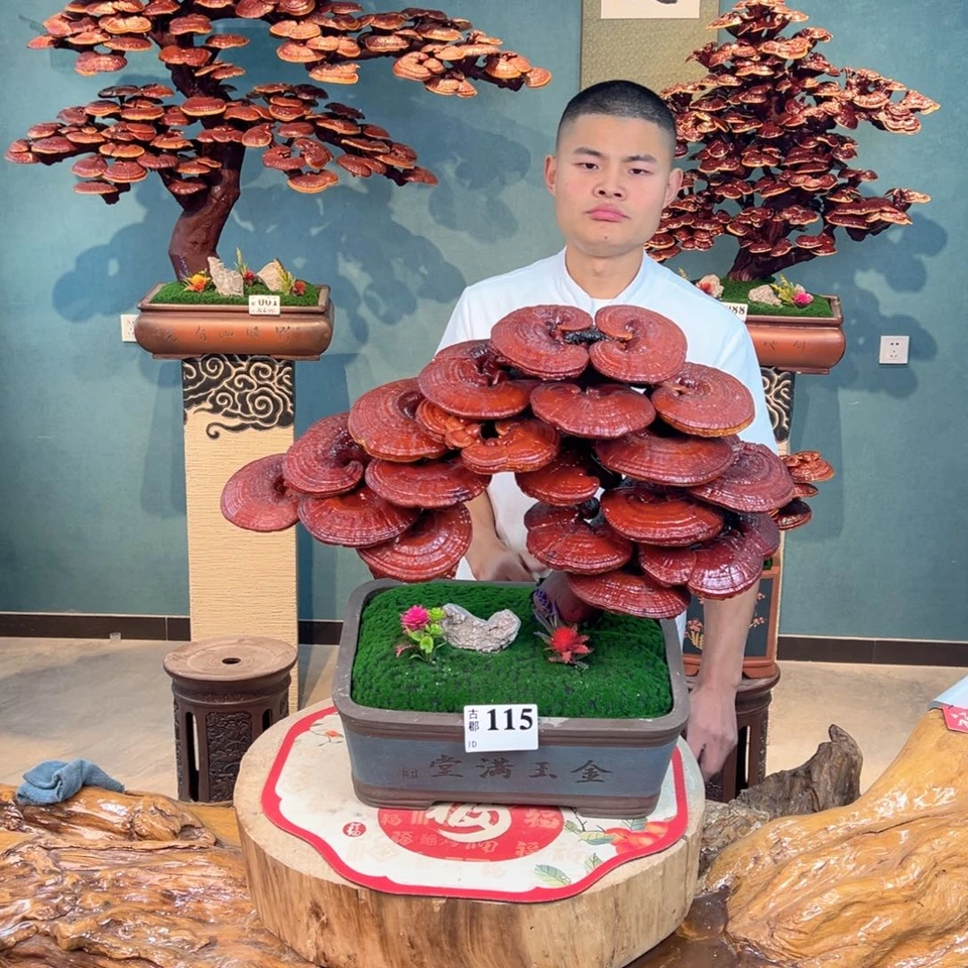 无花朵888888888888