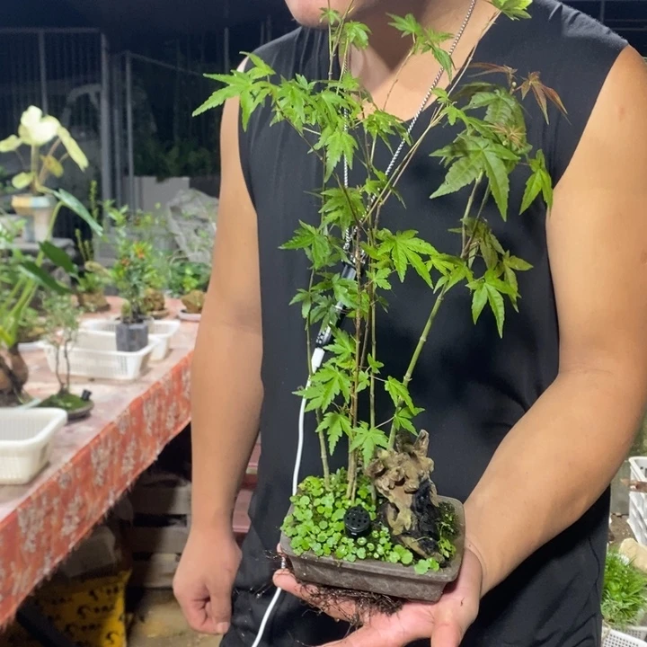 时***间一物一拍一物一拍174
