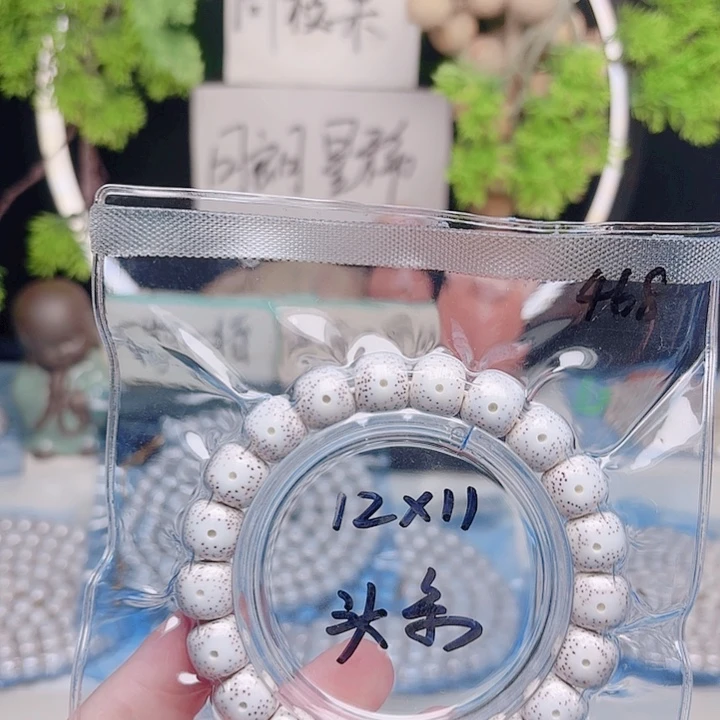 R***.星月菩提把件星月