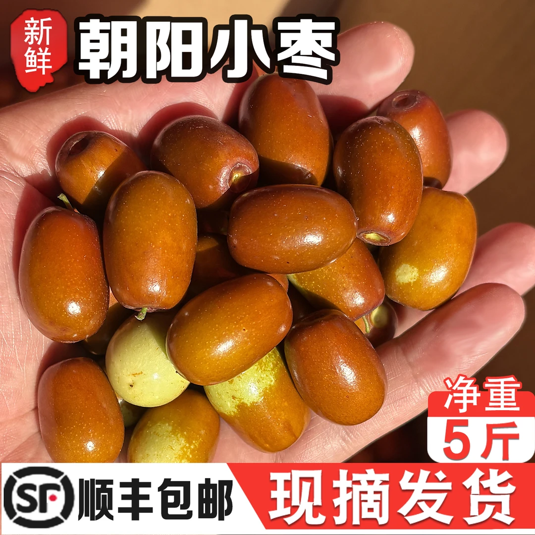 正宗朝阳孙家湾平顶小枣现采现发鲜甜多汁非大枣新鲜脆爽