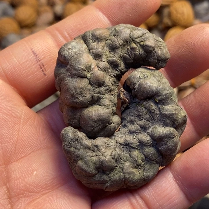 吊坠文玩核桃东北特产28