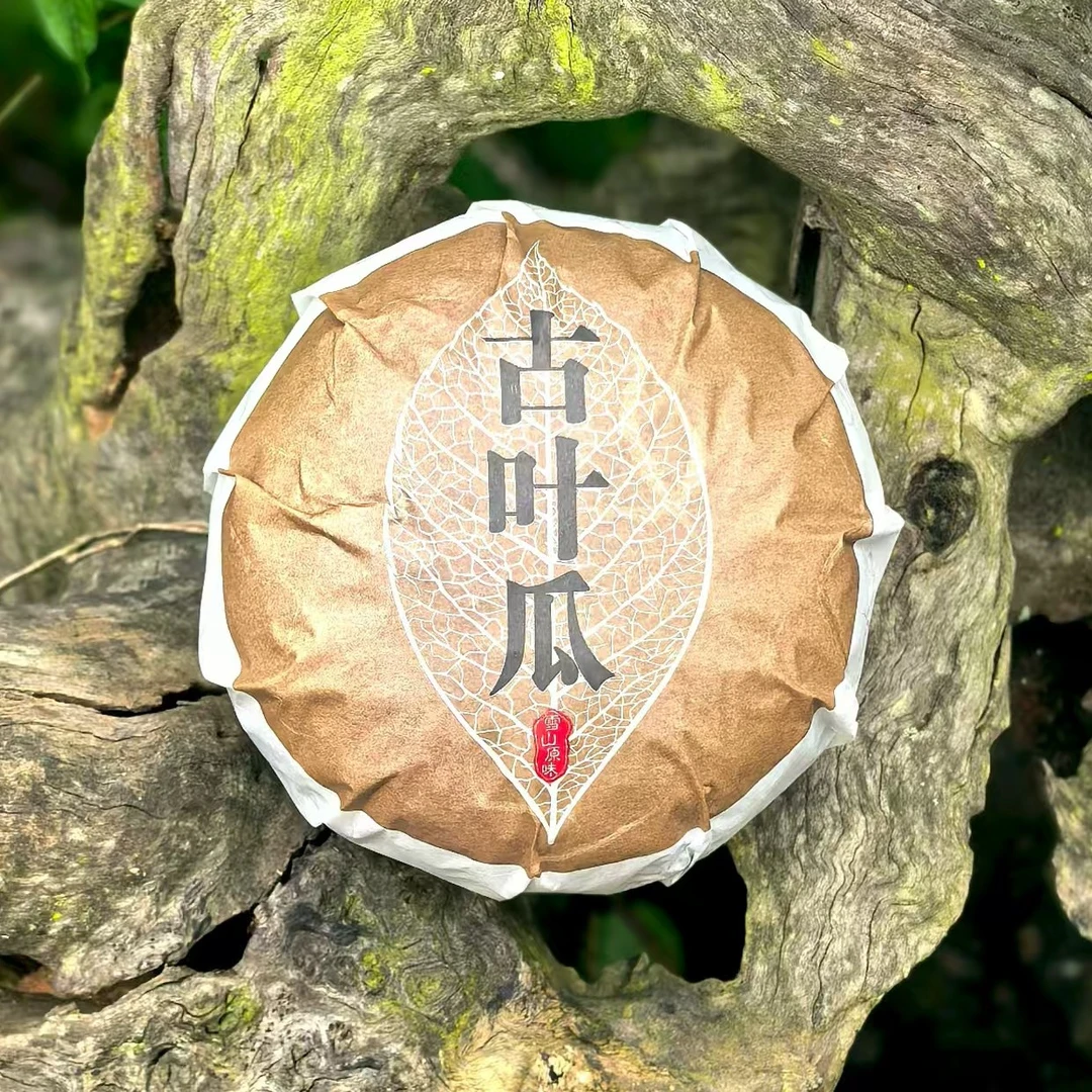 【唐氏】2025年 大雪山 古树纯品古叶瓜 500克 生茶 通用