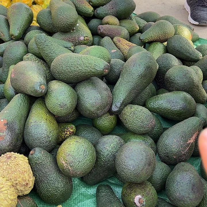 中国大陆牛油果5斤