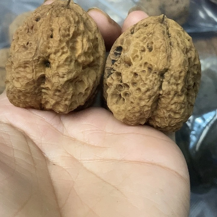 文玩核桃把件云南铁核桃基地12