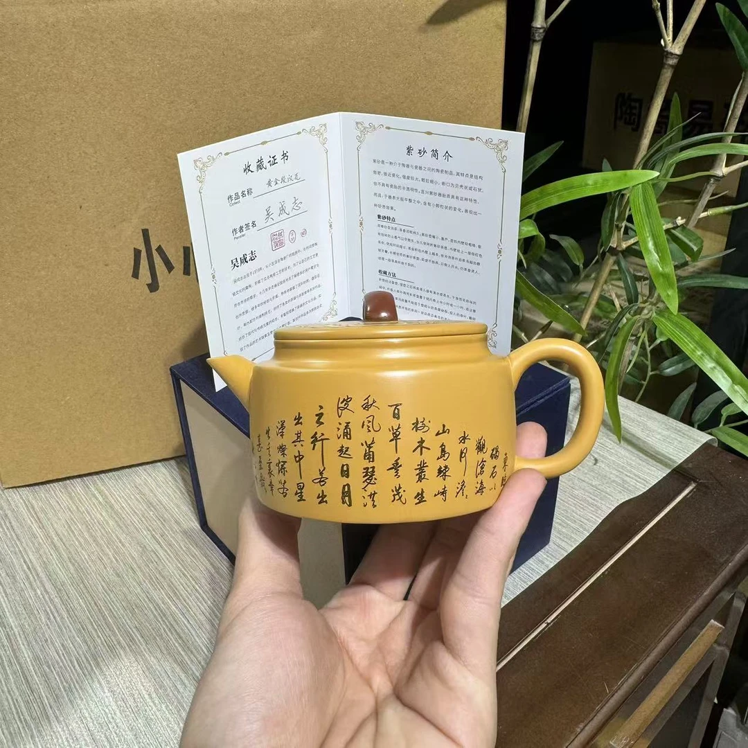 观沧海紫砂壶1431