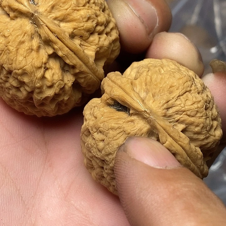 文玩核桃把件云南铁核桃B45