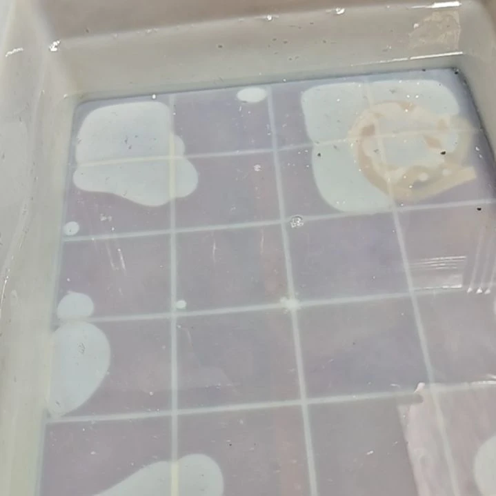 C***.海水淡水养殖基地