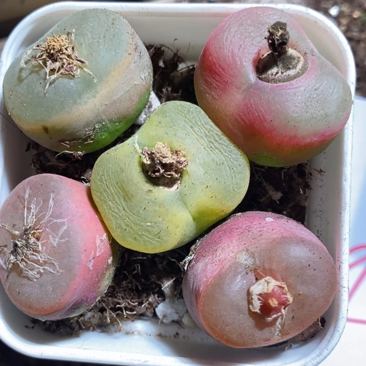 3094一组一组一组