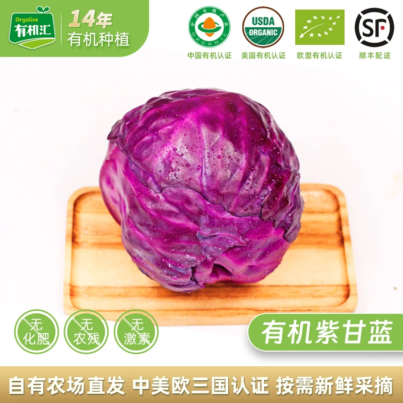 有机紫甘蓝5斤装 新鲜生吃紫包菜蔬菜配送榨汁生吃沙拉食材