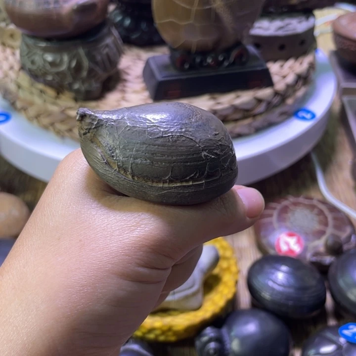 马***雪核桃手串/手链龟纹石原石