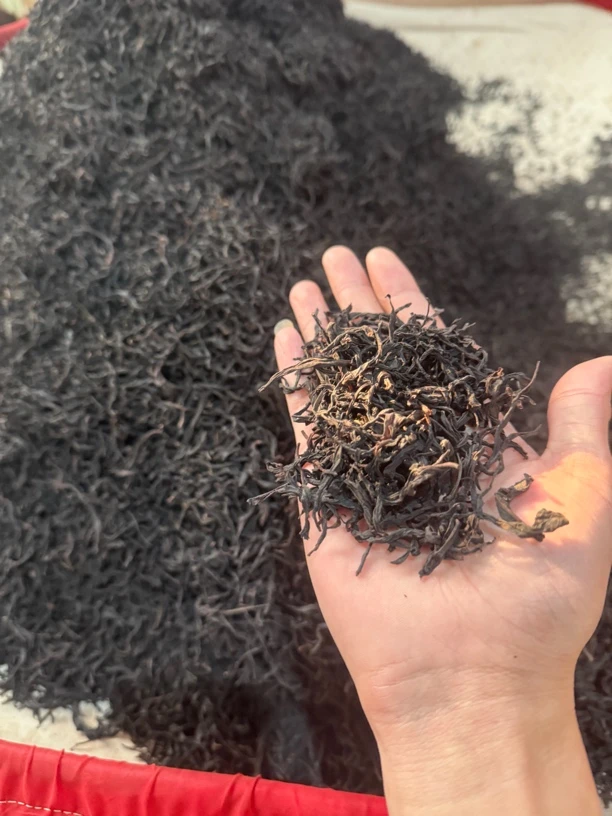 【锯朵仔】杏仁香锯朵仔春茶浓香复火潮州工夫茶精美礼罐装