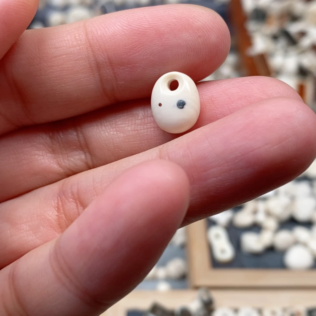 【闪购商品】无非金属小****┛猛犸牙