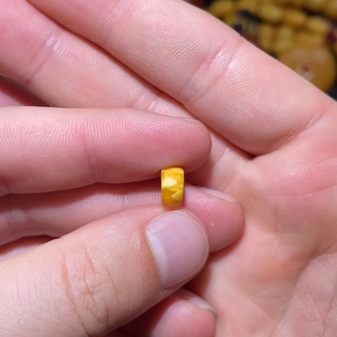 半***狗琥珀未镶嵌裸石饼子