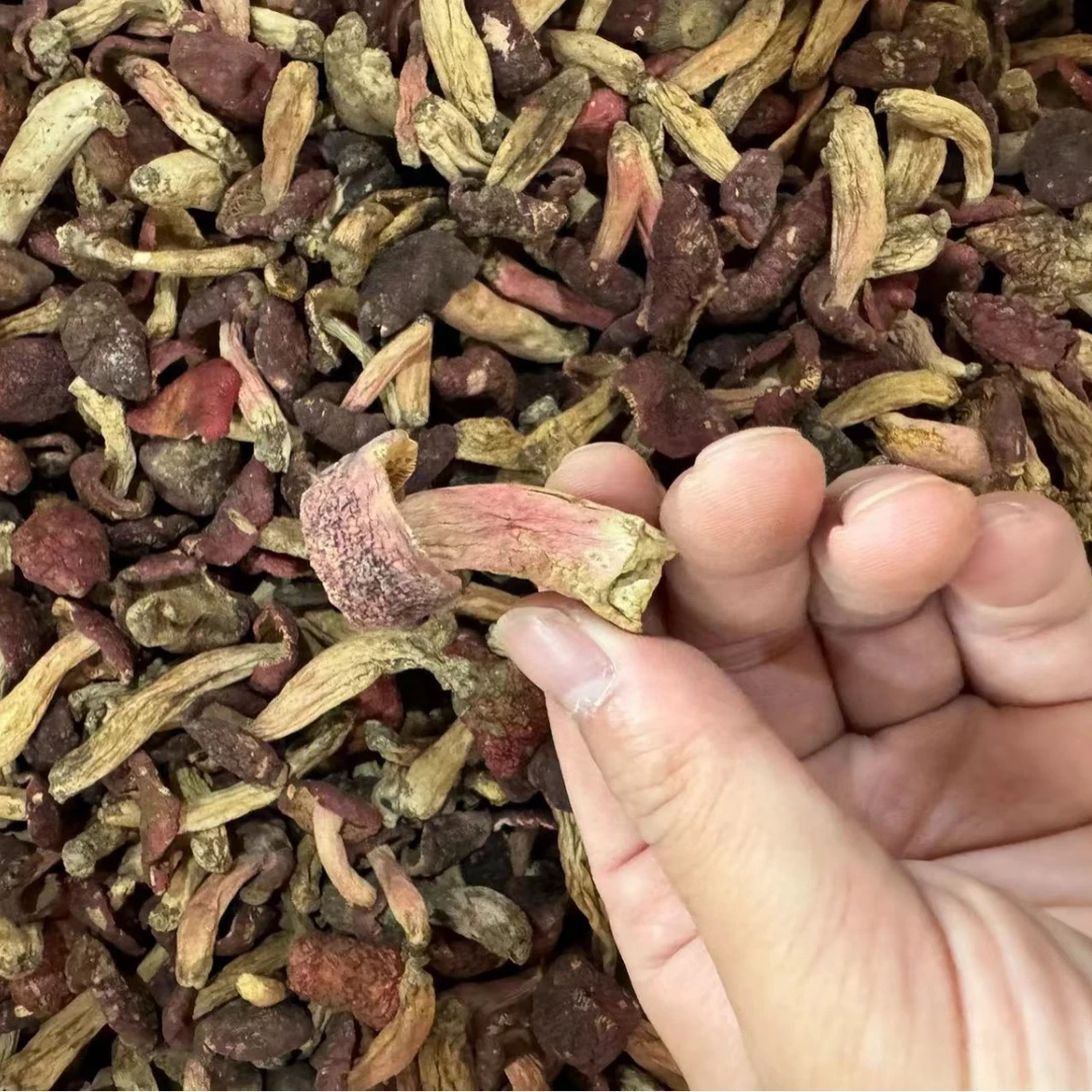2024年新货小红菇丁净重蓝底红菇批发食用菌干货批发一件代发