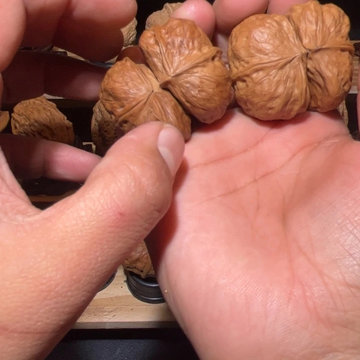 文玩核桃吊坠纯铁蝴蝶连体