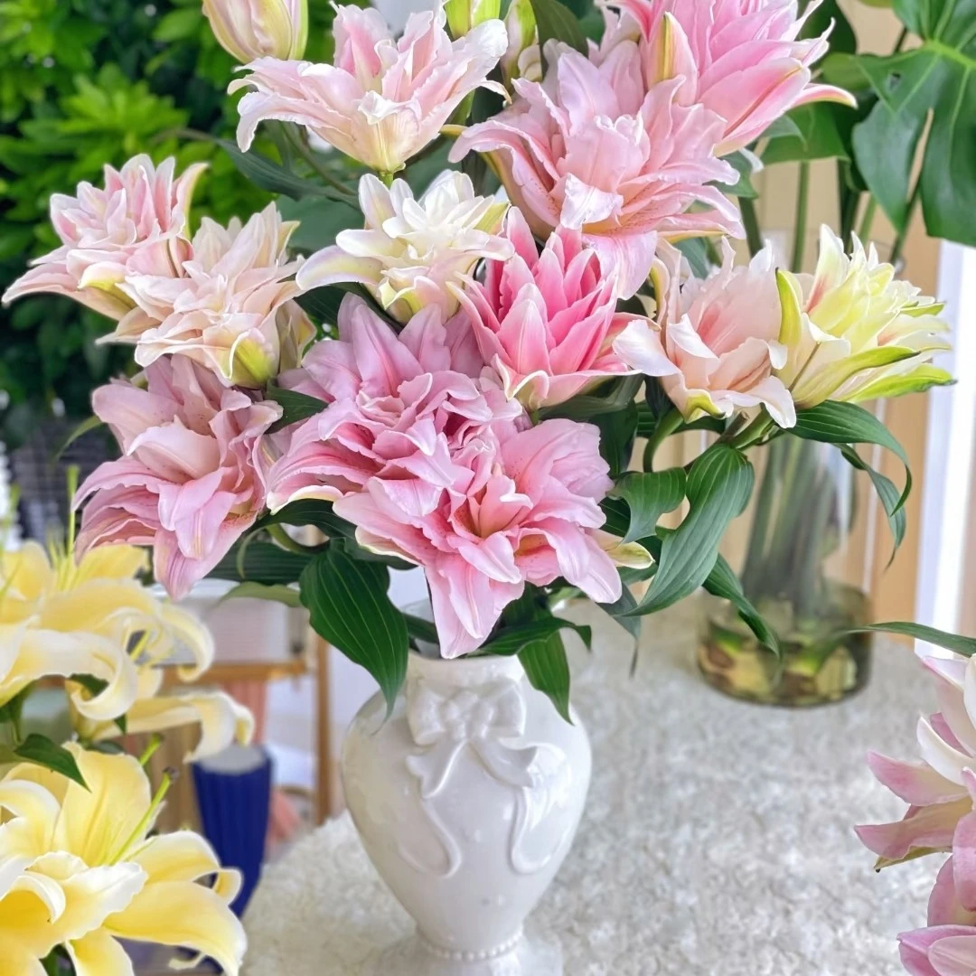 （胡安娜）重瓣百合高贵大气高级重瓣东北鲜花产地顺丰包邮