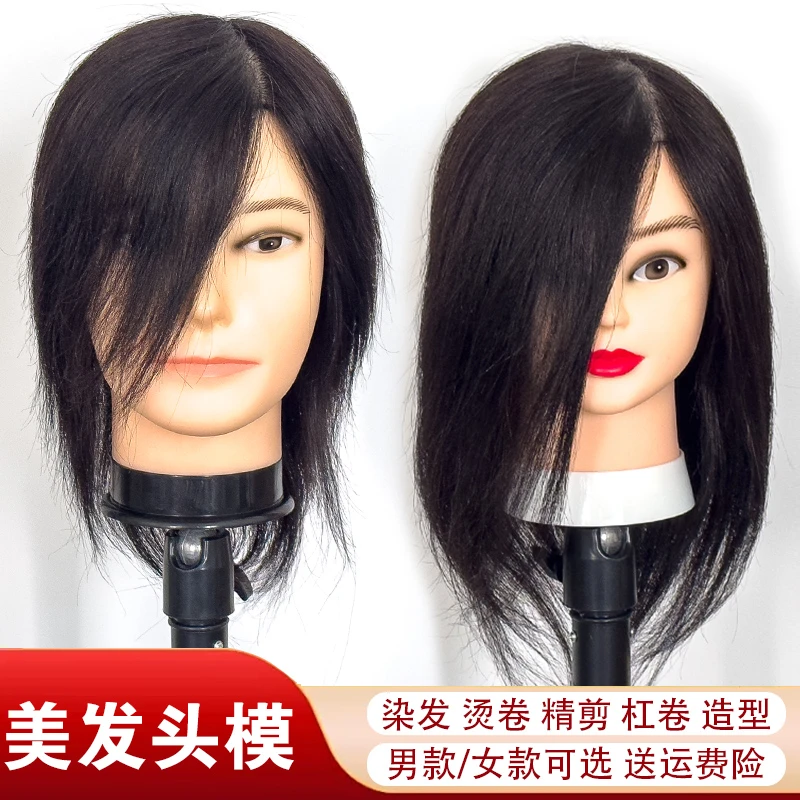 全真发头模学徒练习剪发专用假人头模型可烫染吹造型