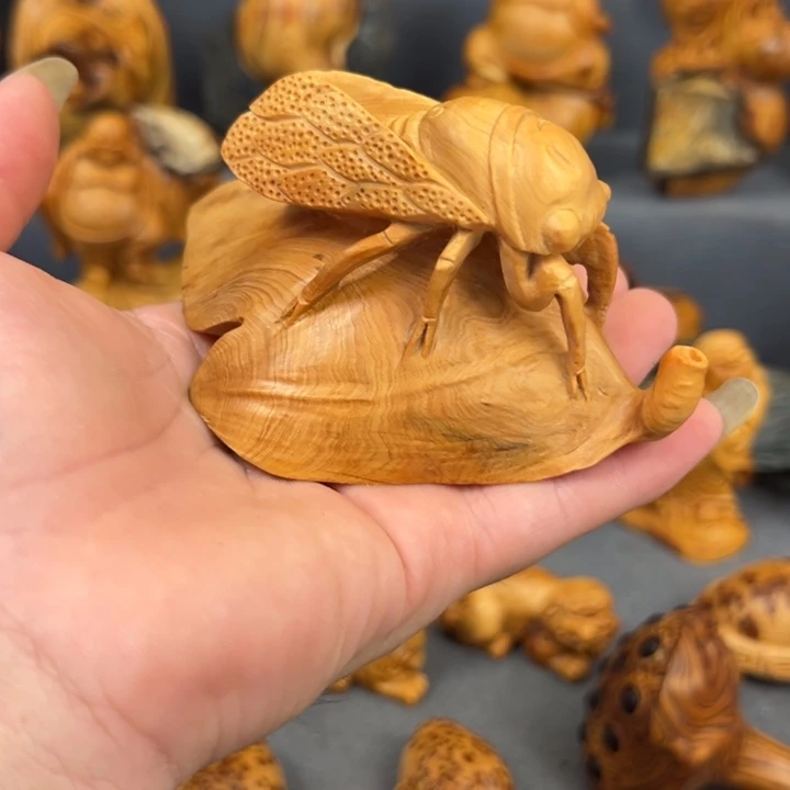 柏木（崖柏）点点关注