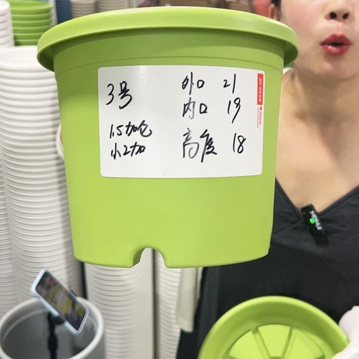 特价2号四季口21高18果绿10只无托